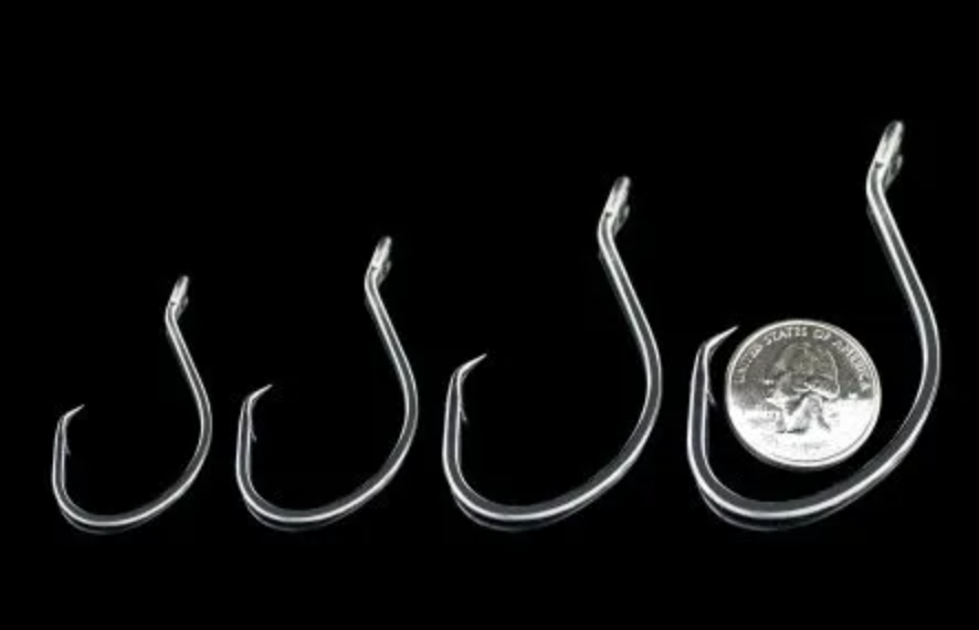 Whisker SeekerCatfish Hybrid Circle Hooks | TripleThreat