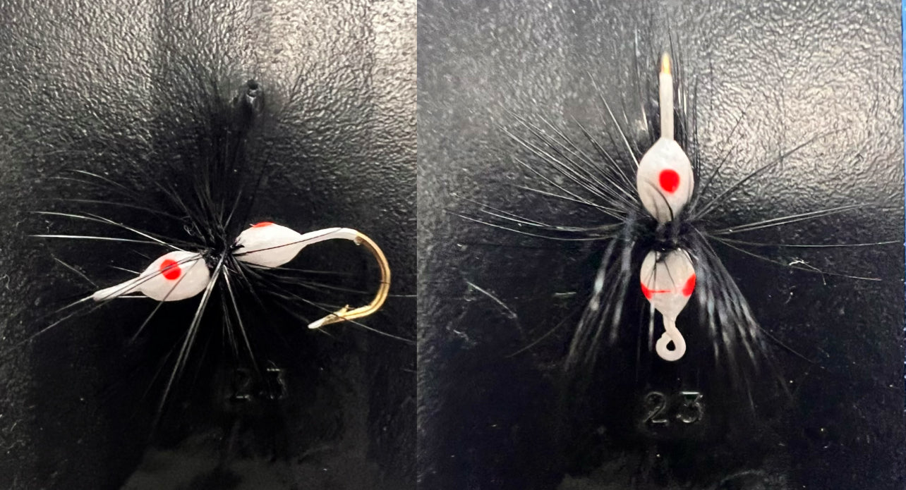 Ken's Hackle Ant