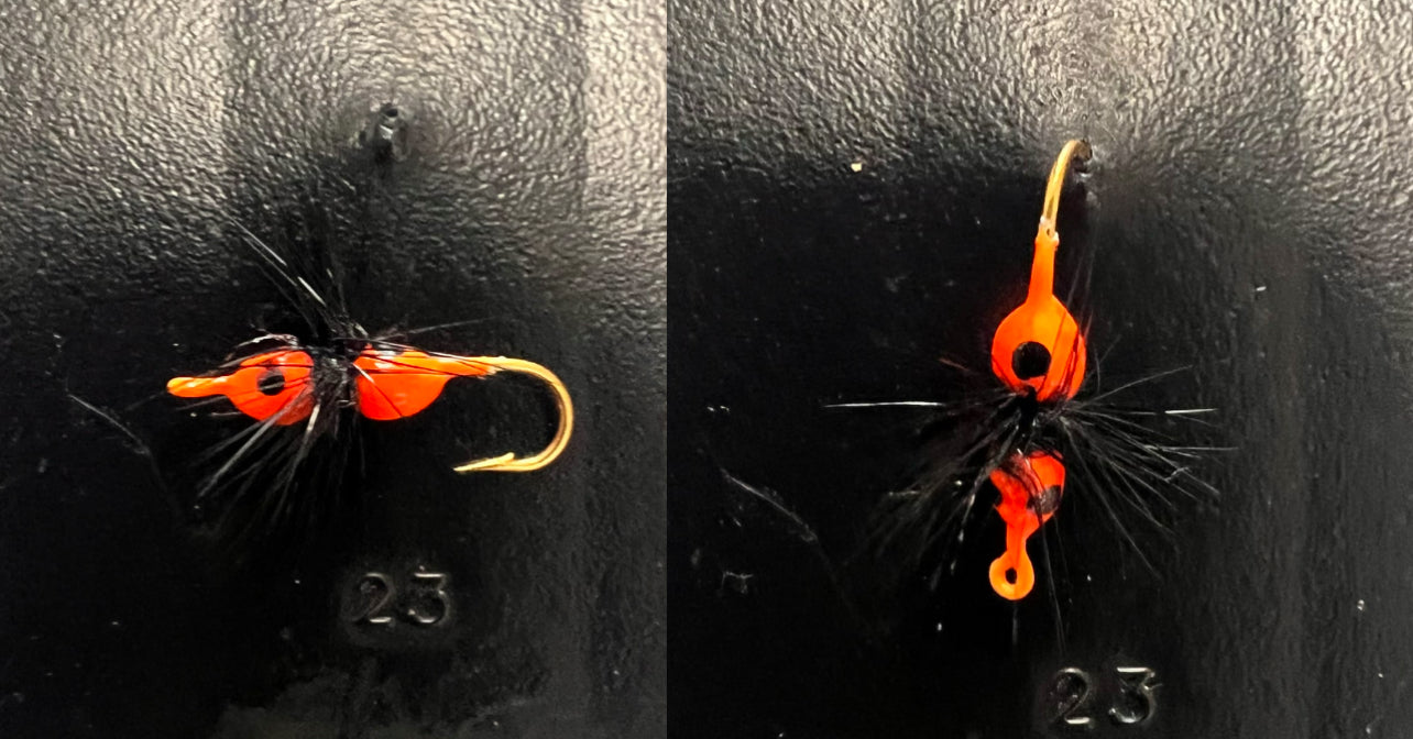 Ken's Hackle Ant