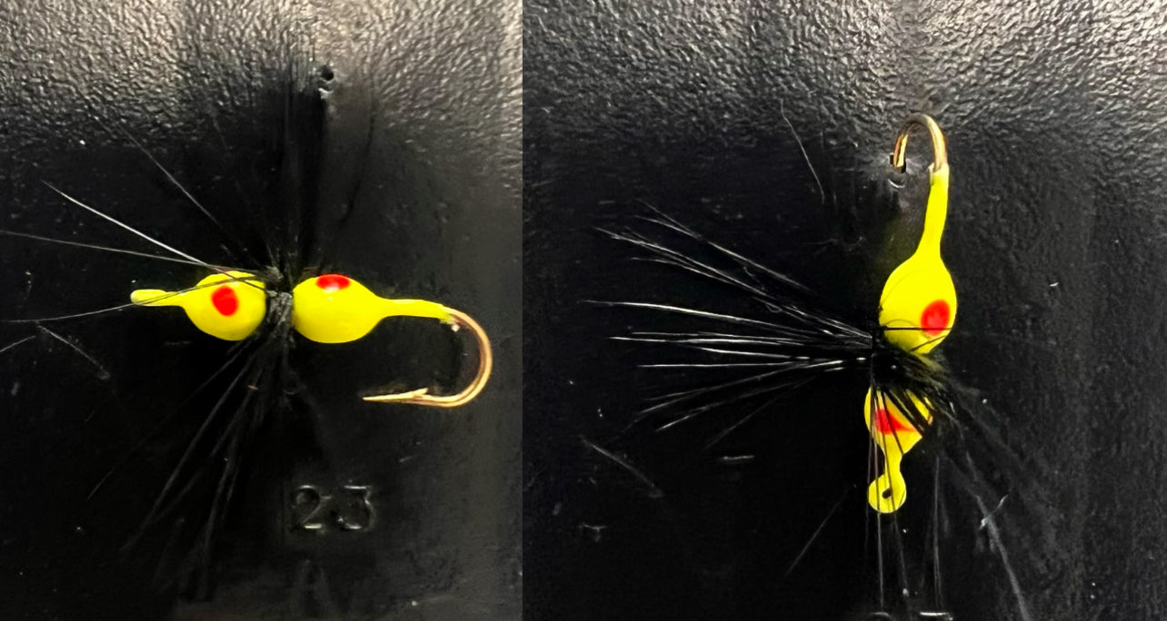 Ken's Hackle Ant