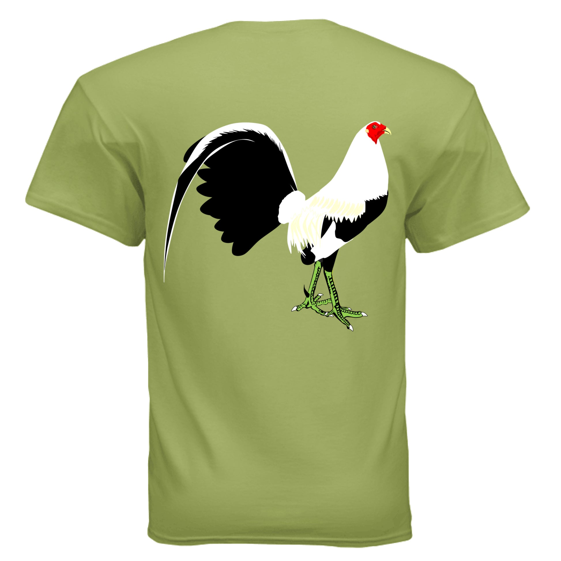 KIWI - BACK