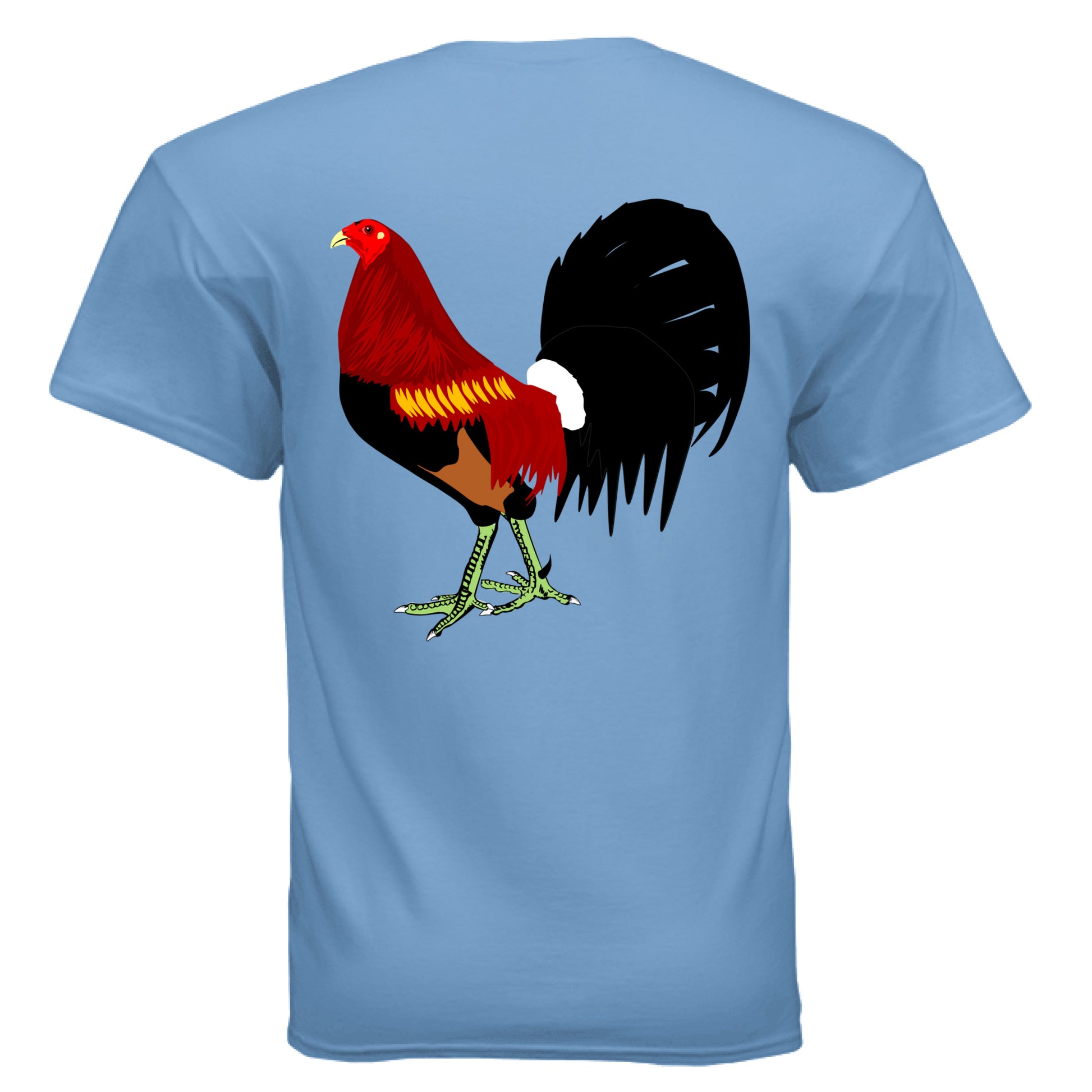 CAROLINA BLUE - BACK